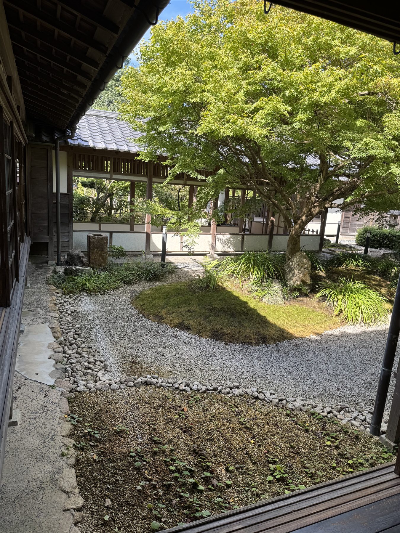 もみじと砂利敷きの長府毛利邸中庭