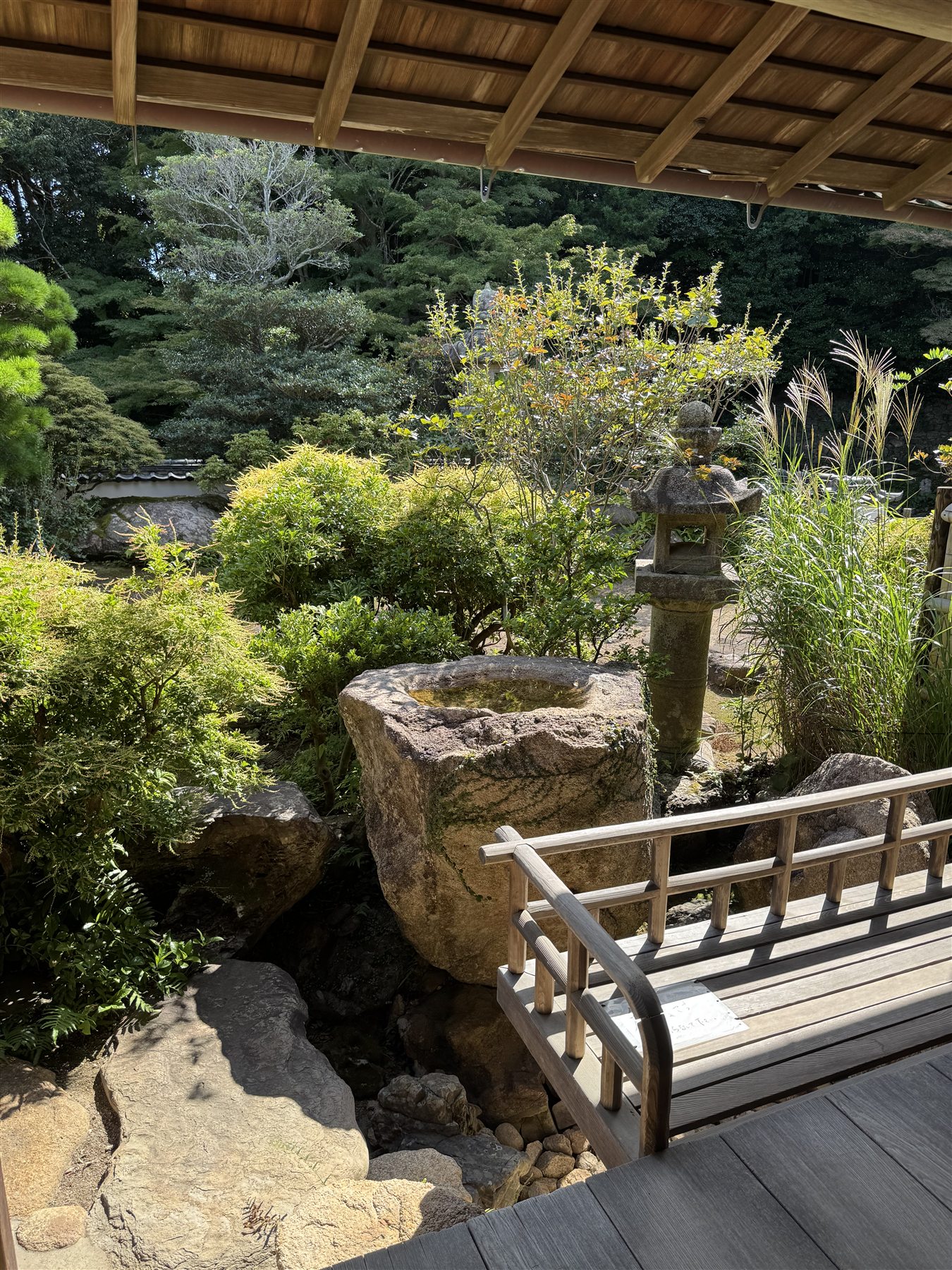 縁側から見た庭園と手水鉢