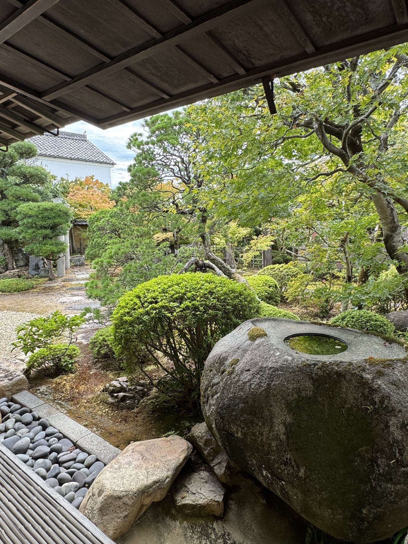 庭園の手水鉢