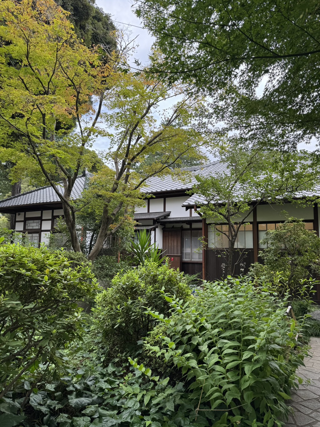 緑豊かな庭園越しに見える荻外荘